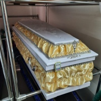 Евро Гроб шелк